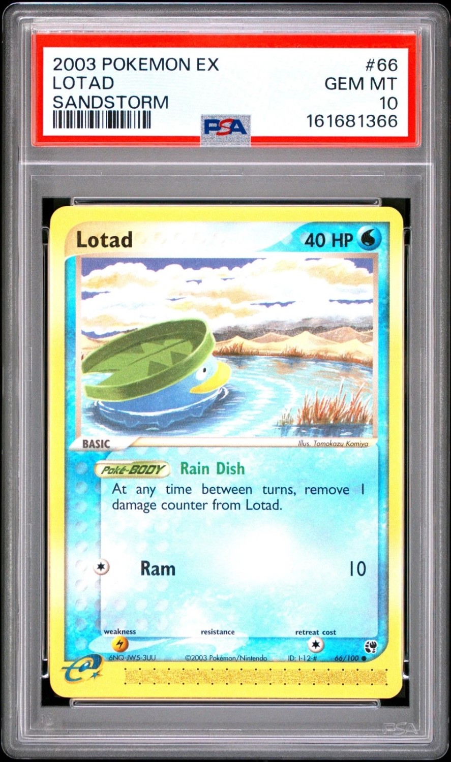 Lotad
