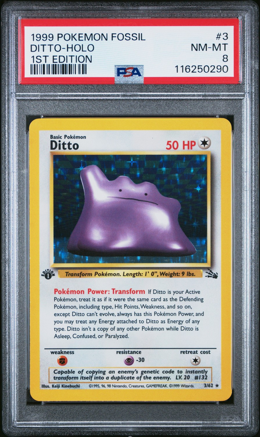 Ditto