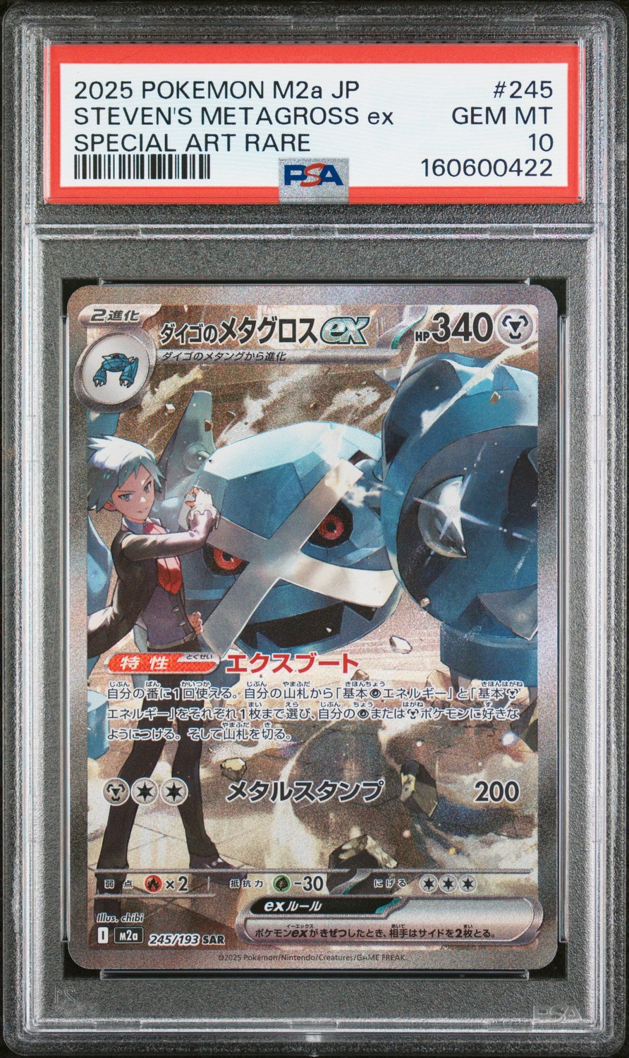 STEVEN'S METAGROSS ex