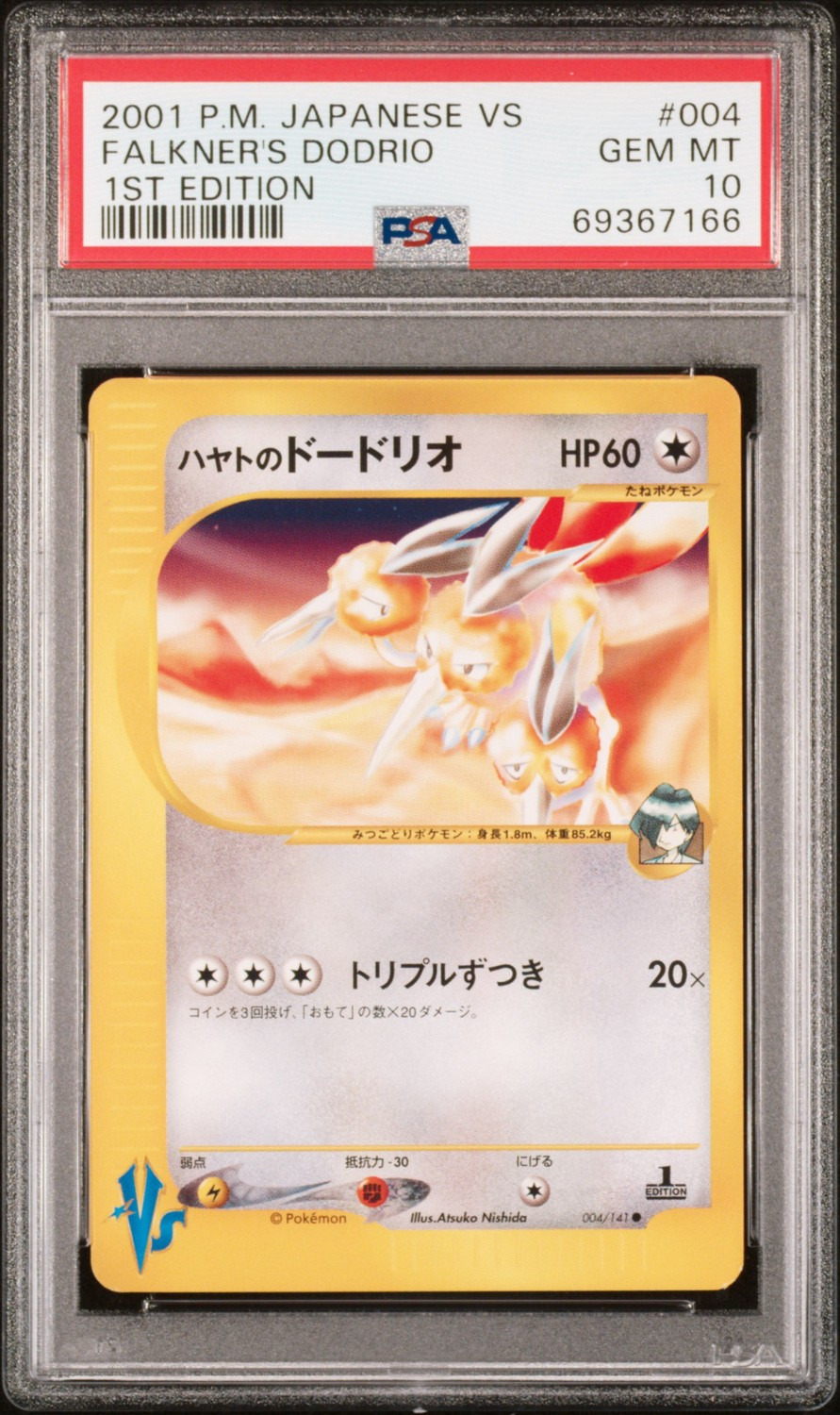 Falkner's Dodrio