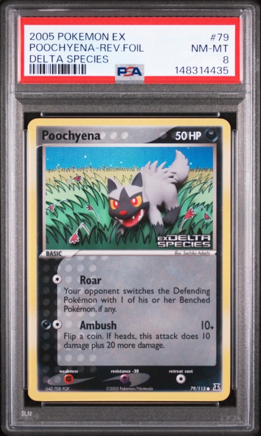 Poochyena