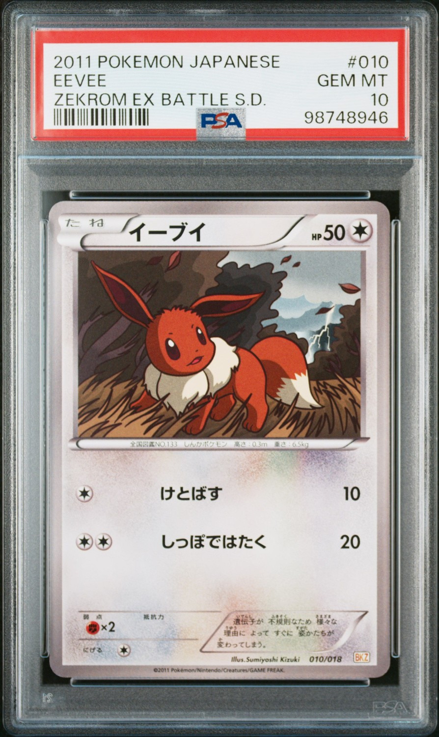 Eevee