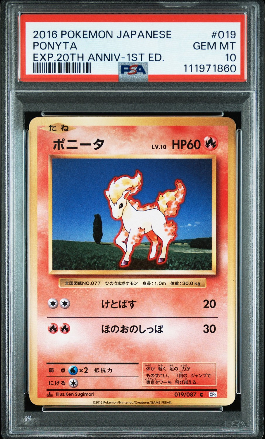 Ponyta