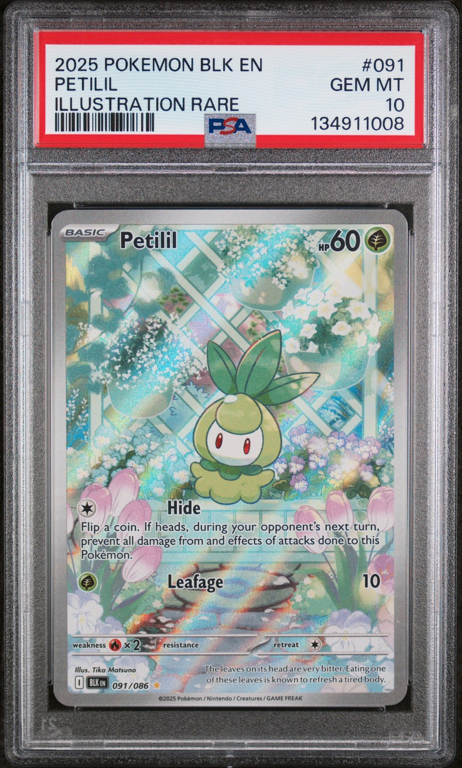 Petilil