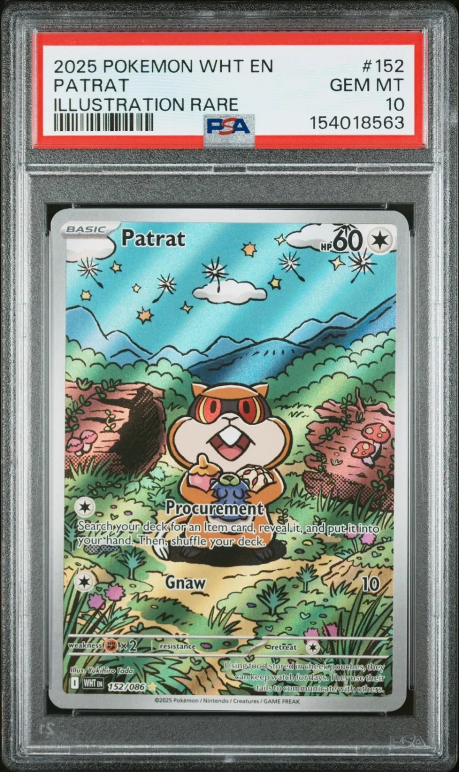 Patrat
