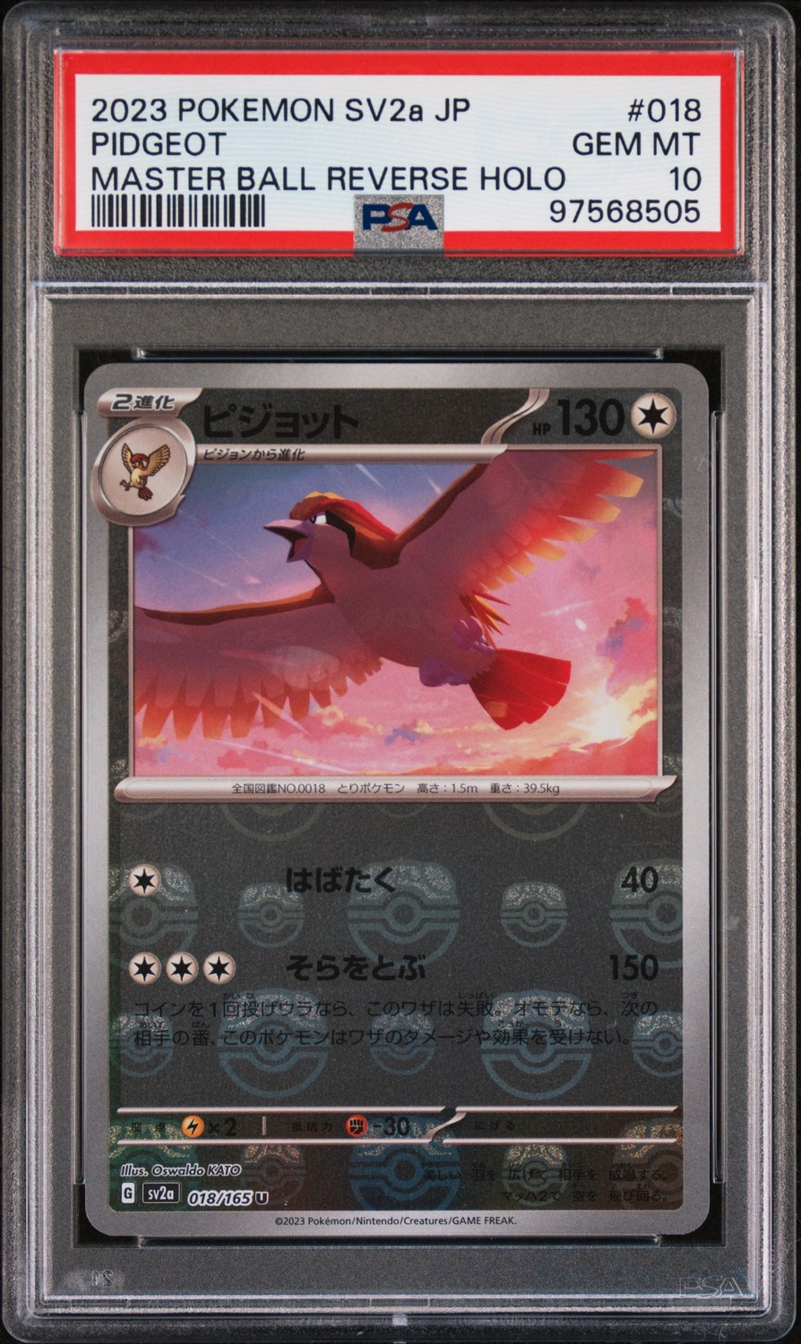 Pidgeot