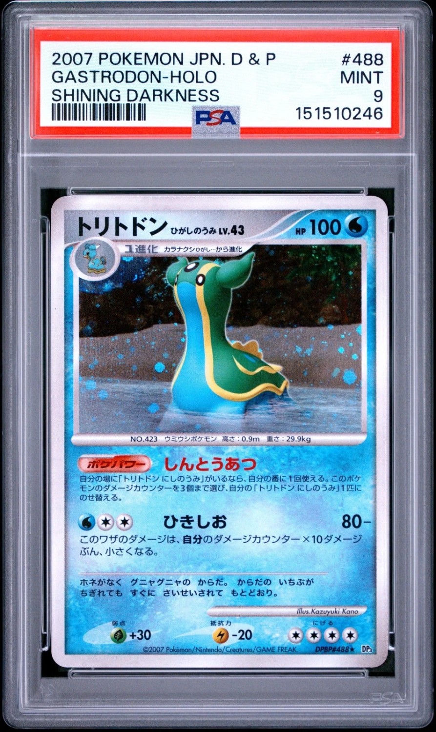 Gastrodon