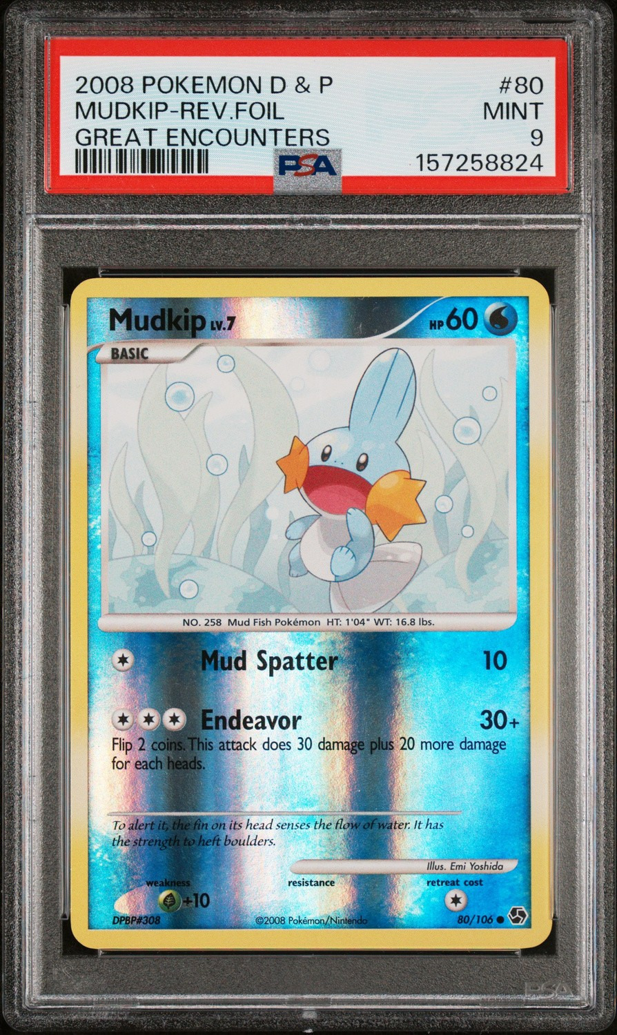 Mudkip