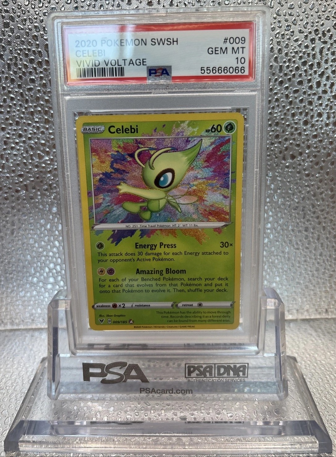 CELEBI