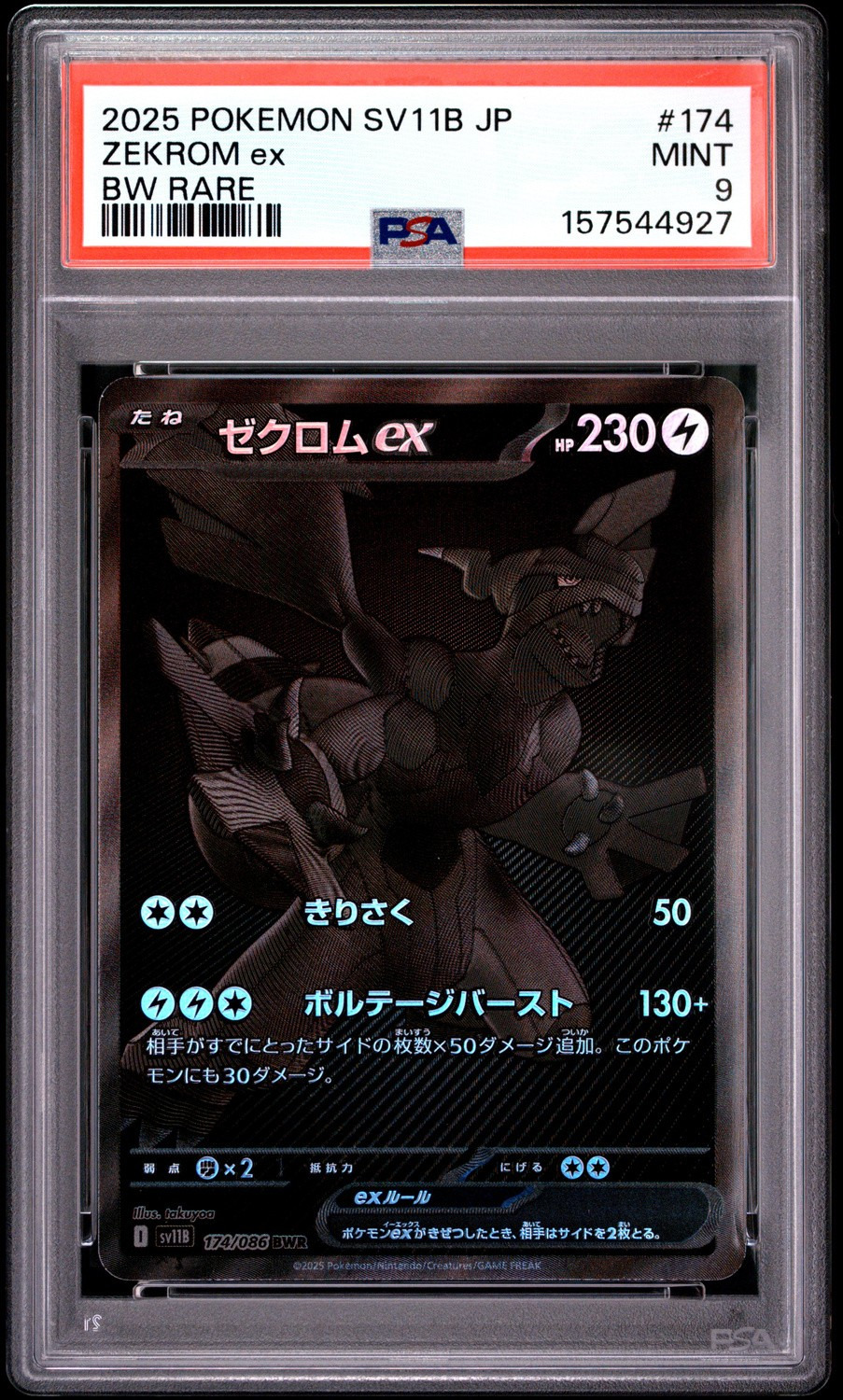 ZEKROM ex