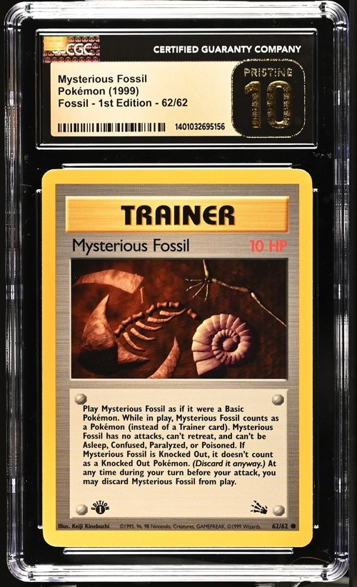 Mysterious Fossil