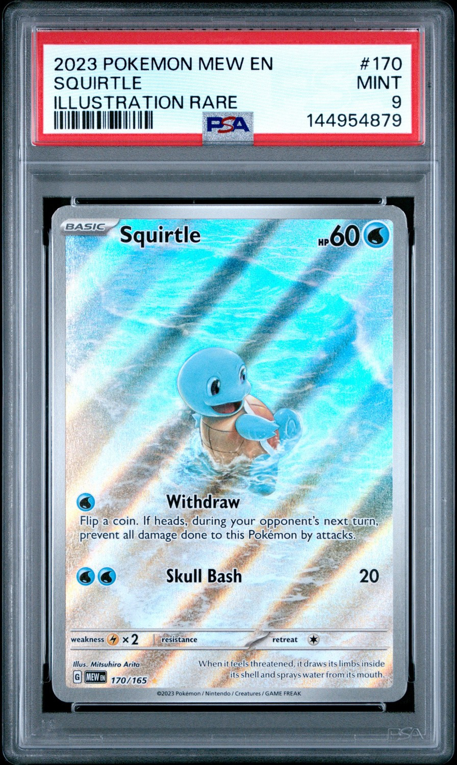 SQUIRTLE