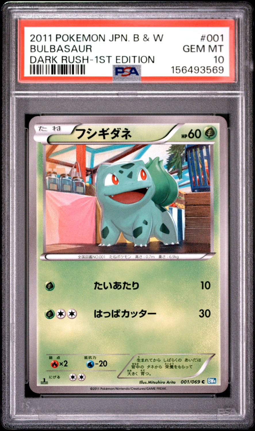 Bulbasaur