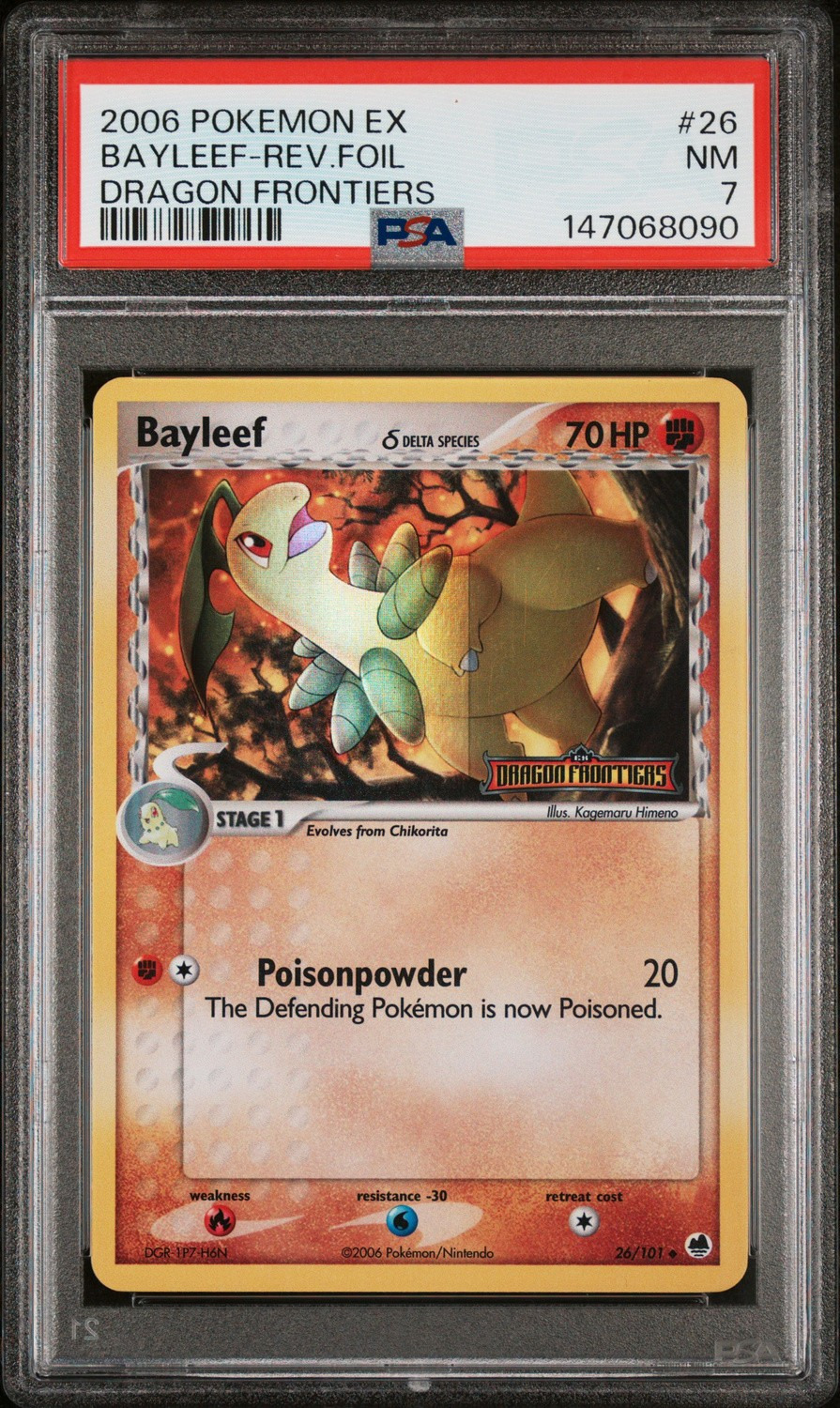 Bayleef