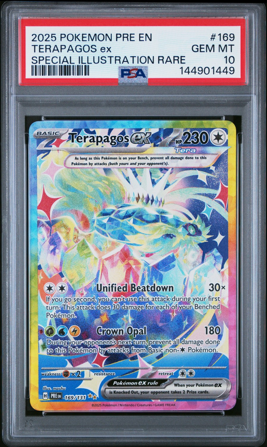 TERAPAGOS ex