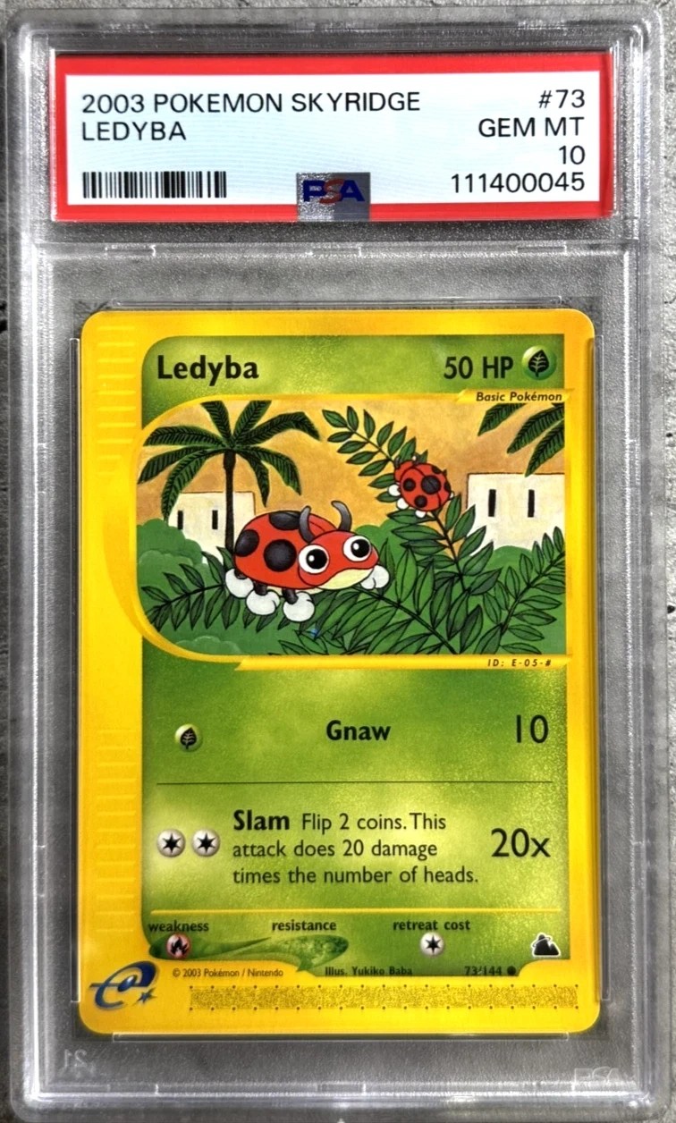 Ledyba