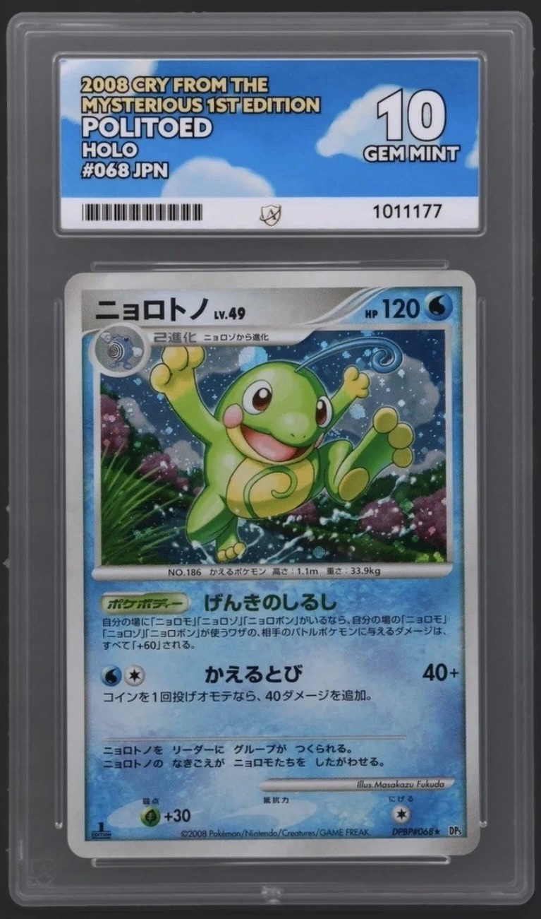 POLITOED