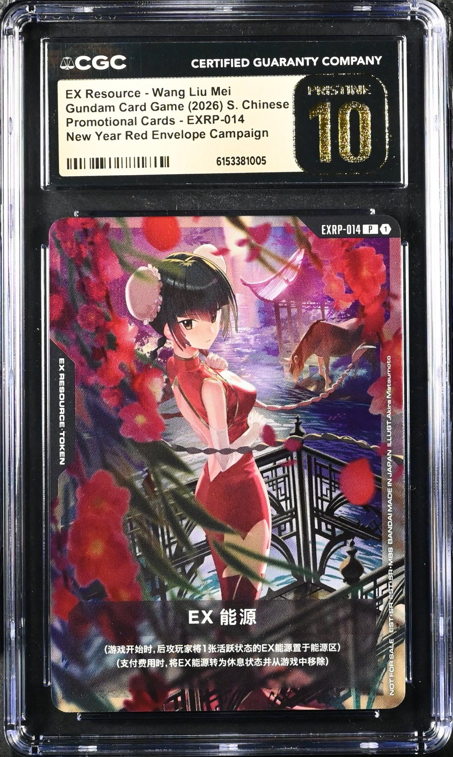 EX Resource - Wang Liu Mei