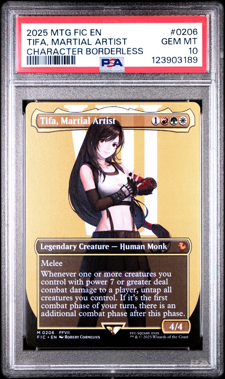 Tifa, Martial Artist