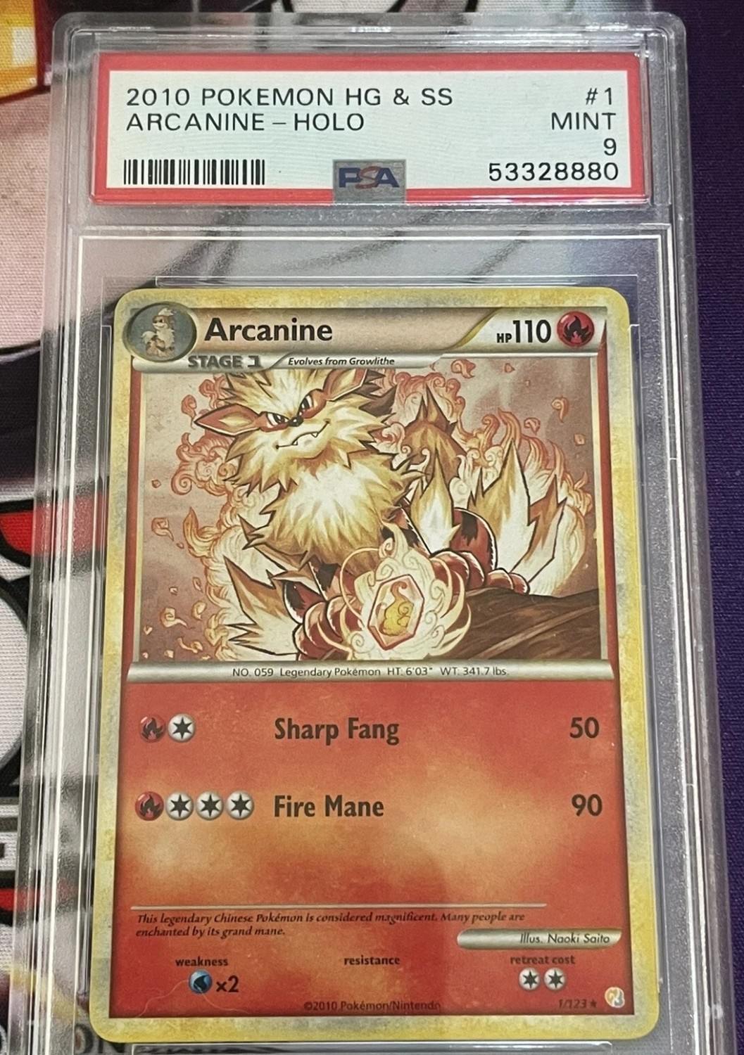 Arcanine