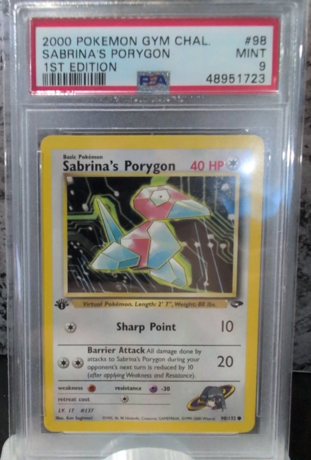 Sabrina's Porygon