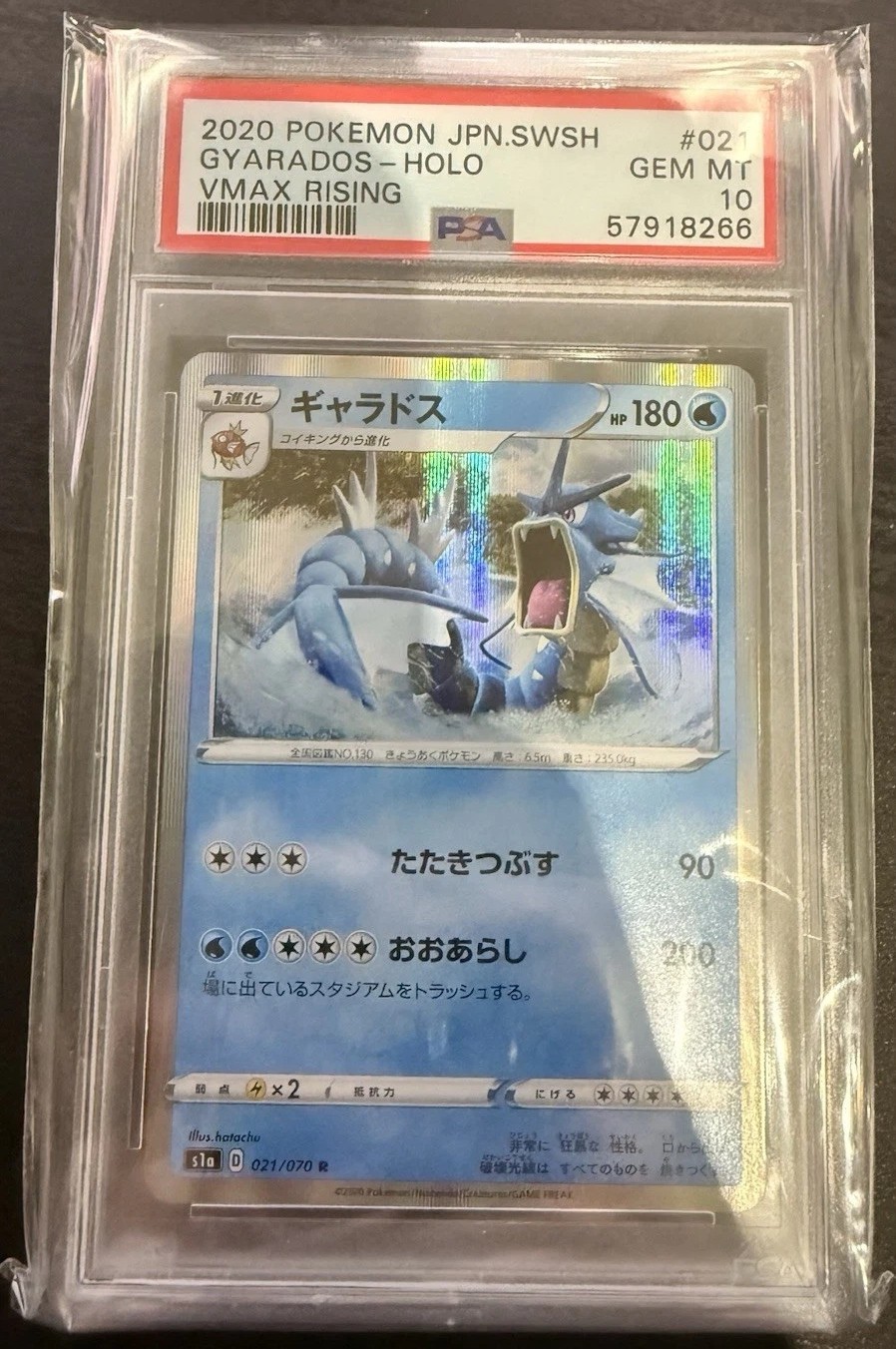 Gyarados