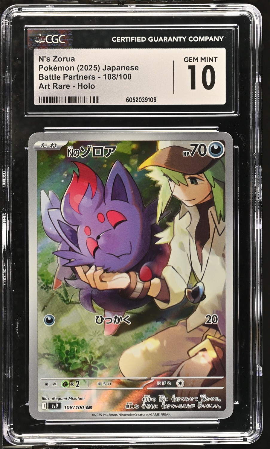 N's Zorua