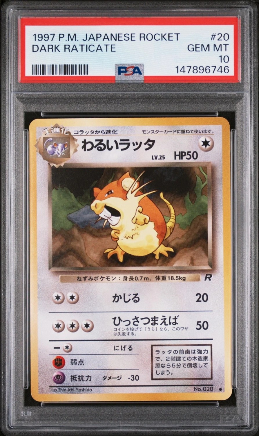 Dark Raticate
