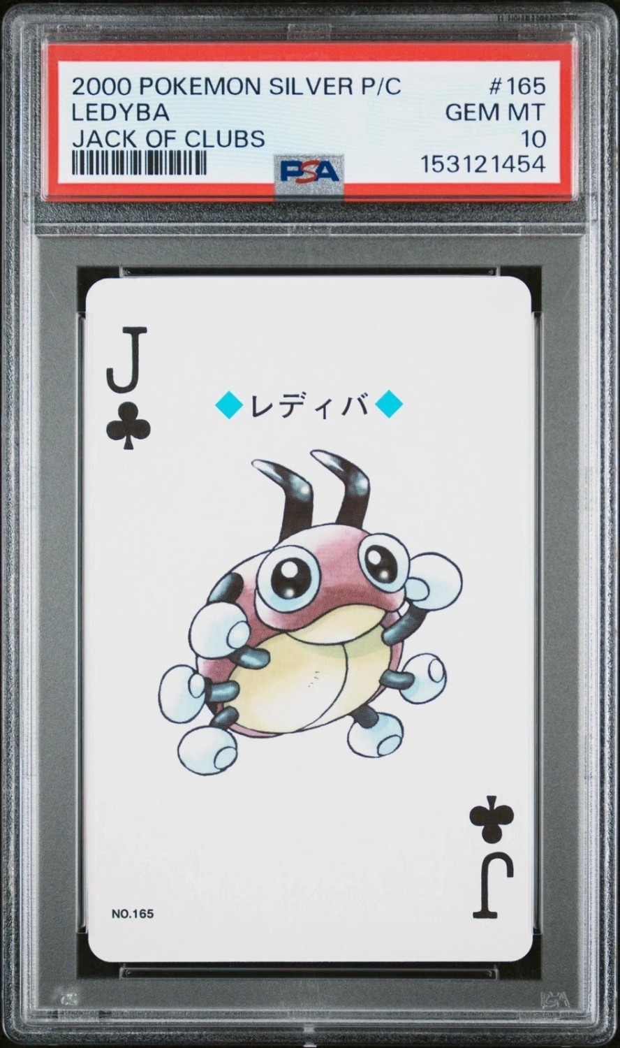 Ledyba