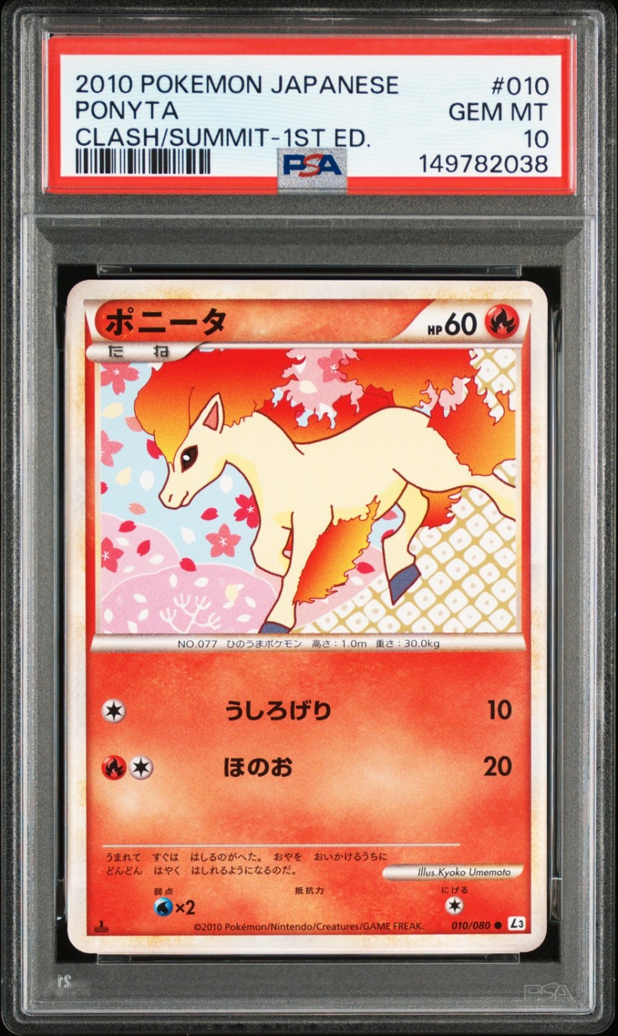 Ponyta