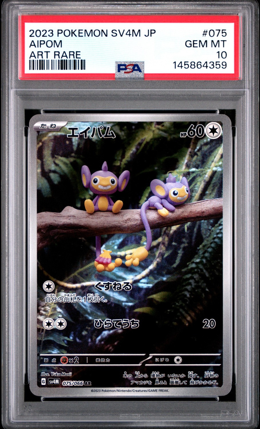Aipom