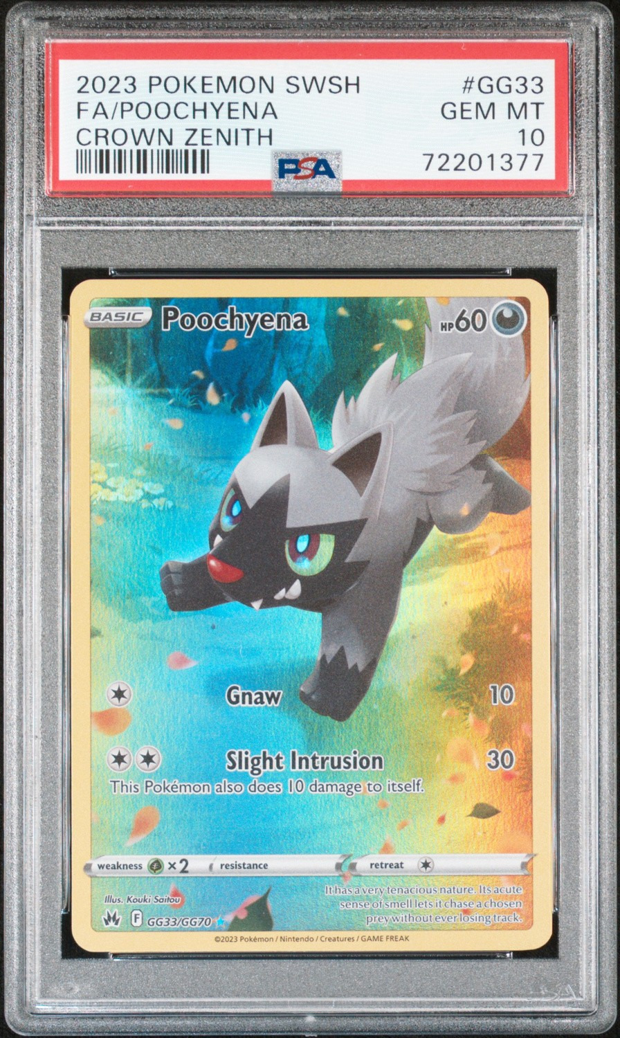 FA/POOCHYENA