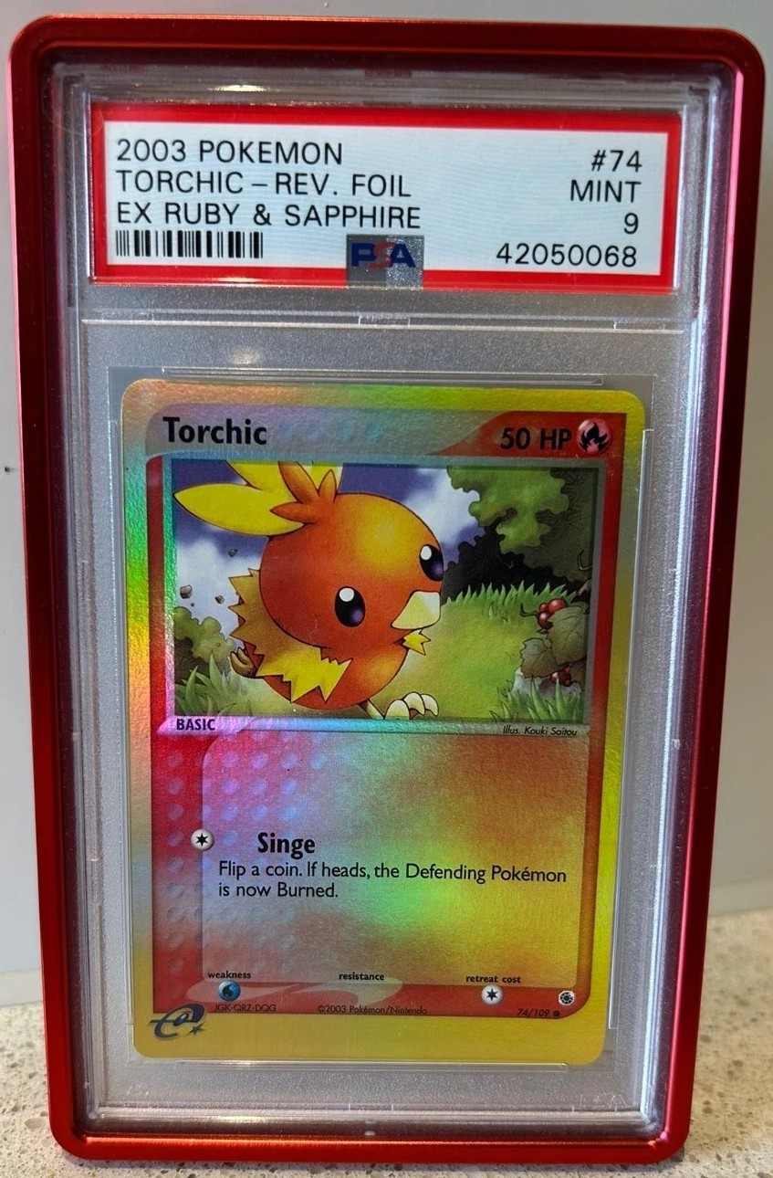 Torchic