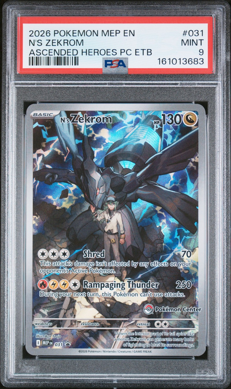 N'S ZEKROM