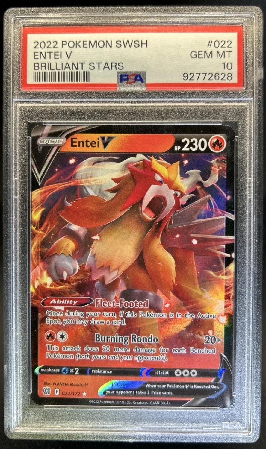Entei V