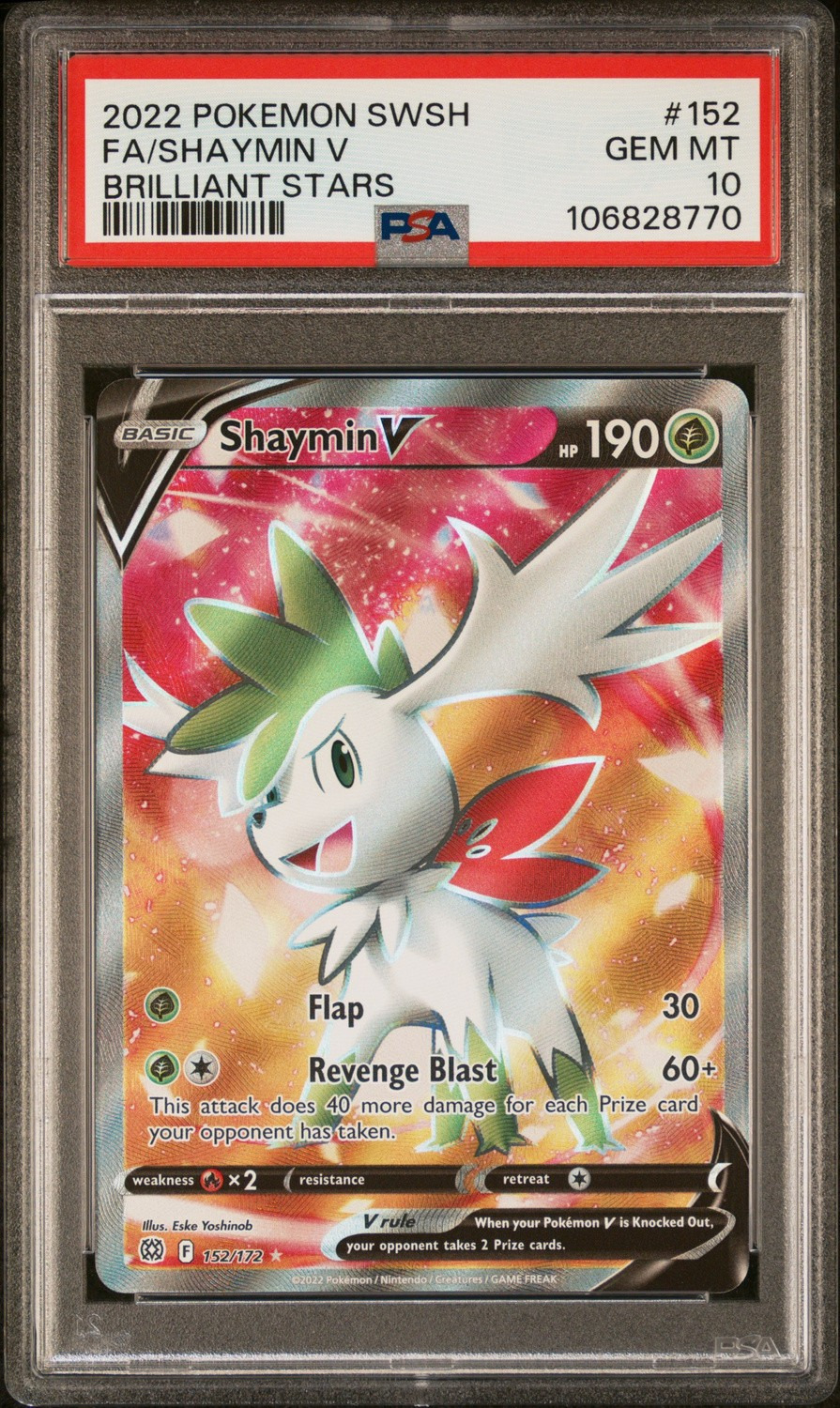Shaymin V