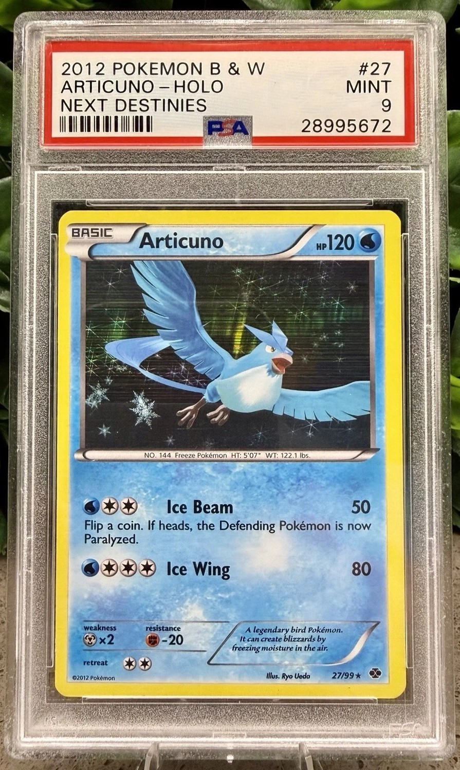 Articuno
