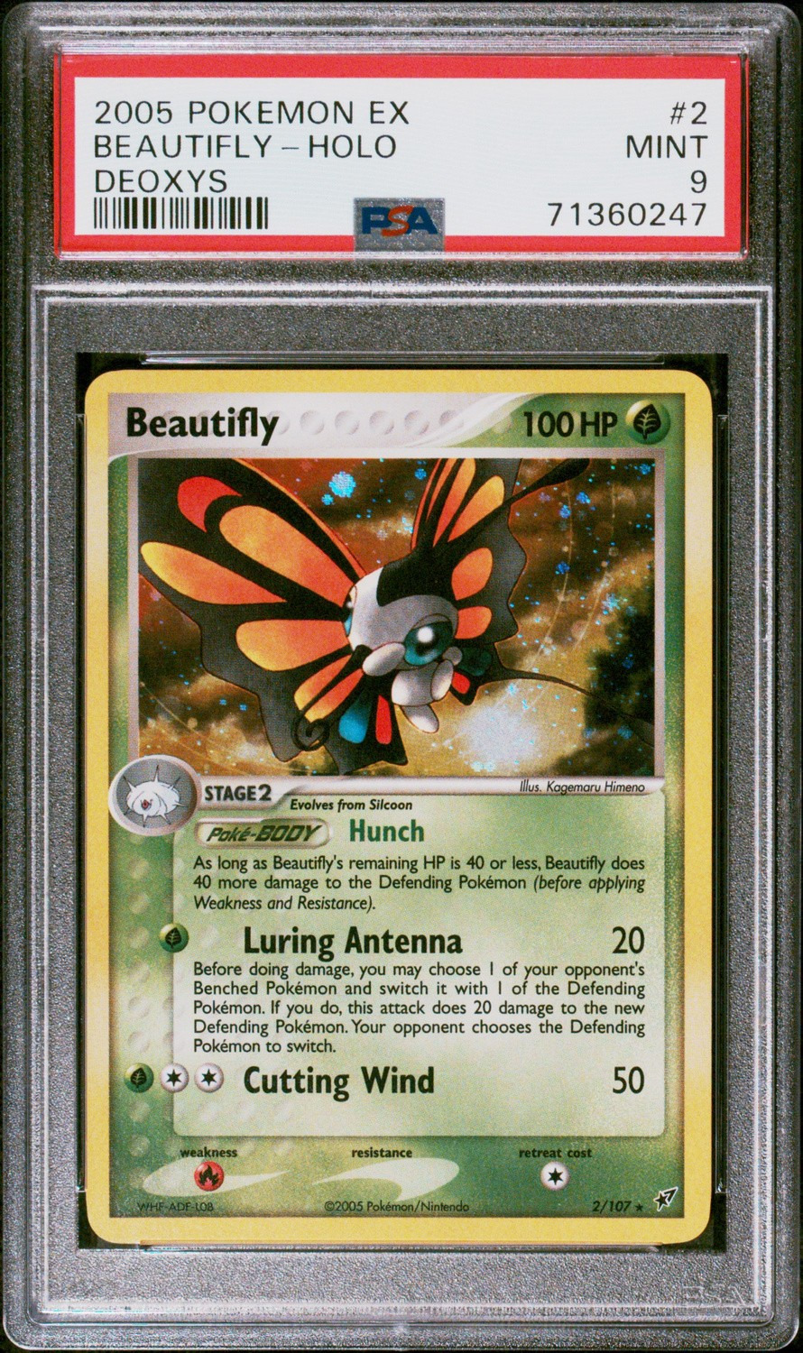 Beautifly
