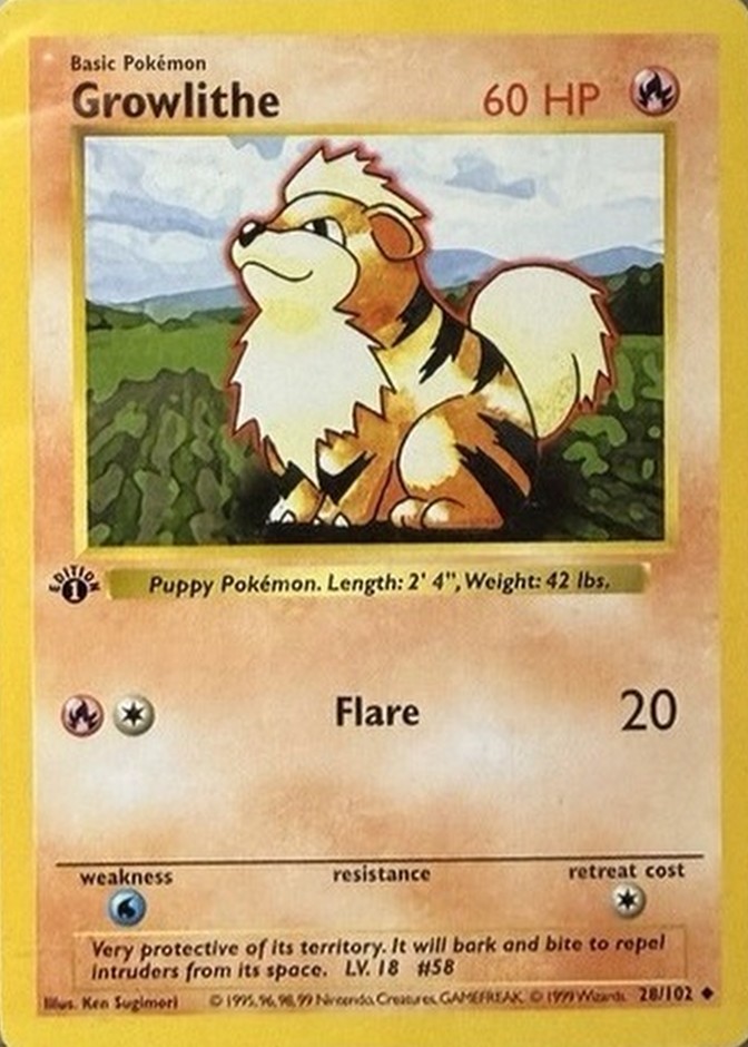 1st Edition