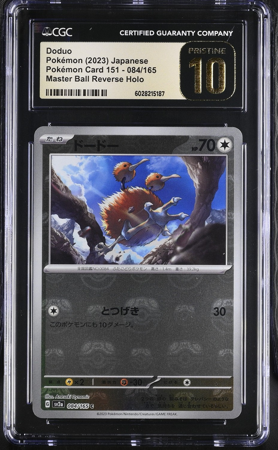 Doduo