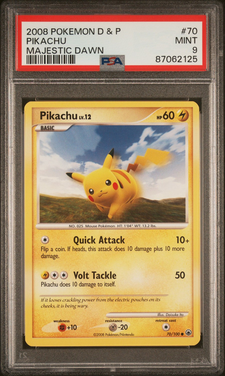 Pikachu Lv.12