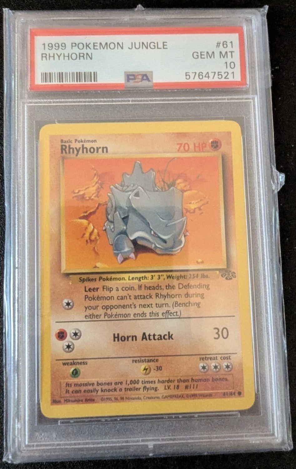 Rhyhorn