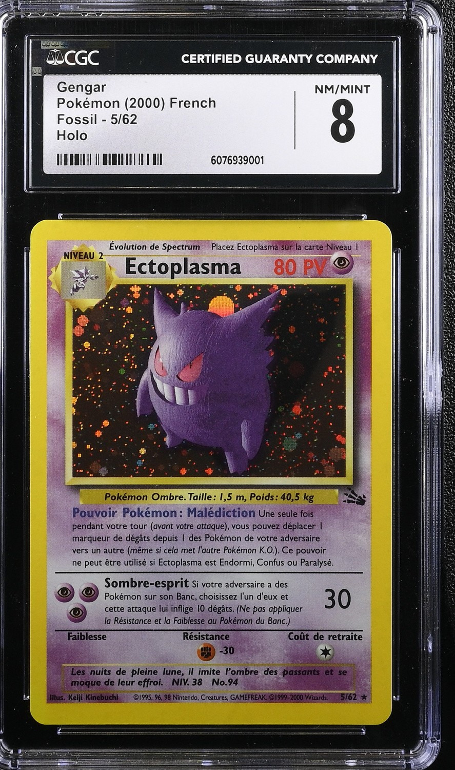 Ectoplasma