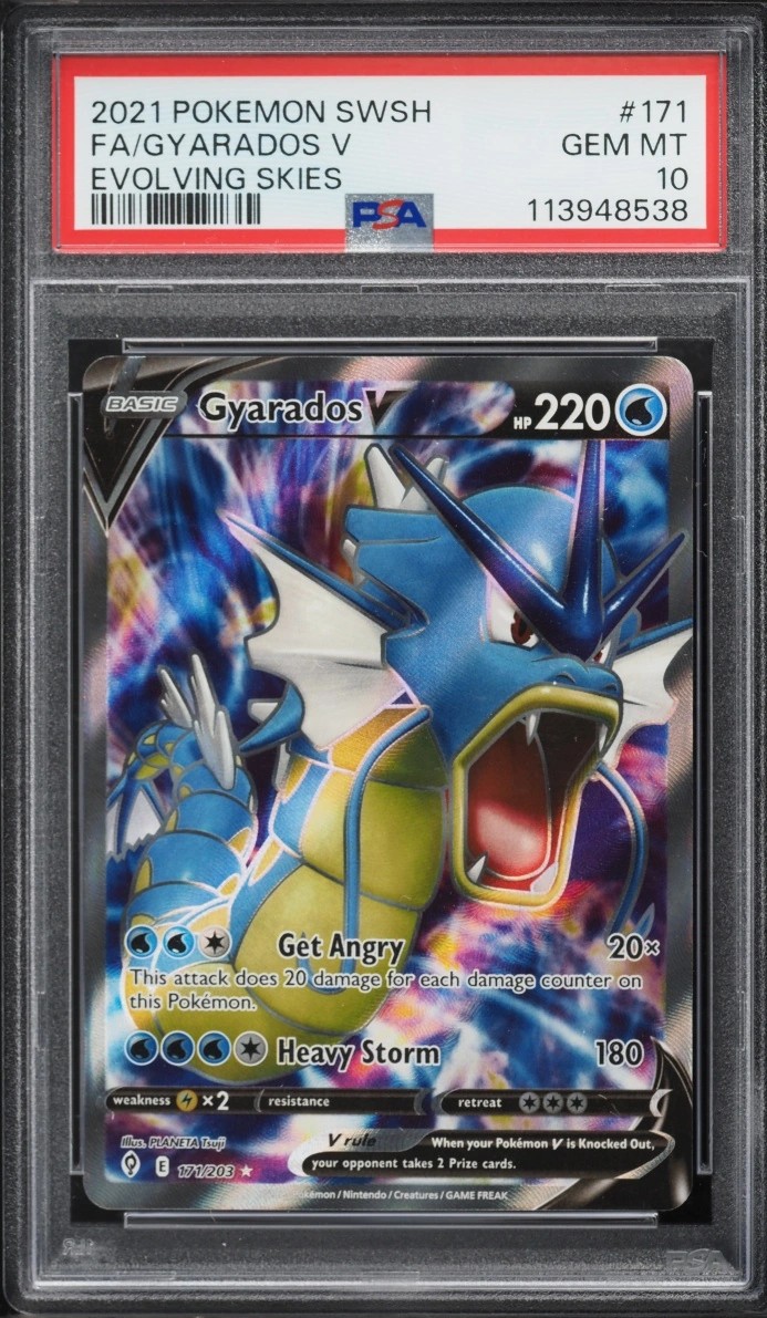 Gyarados V