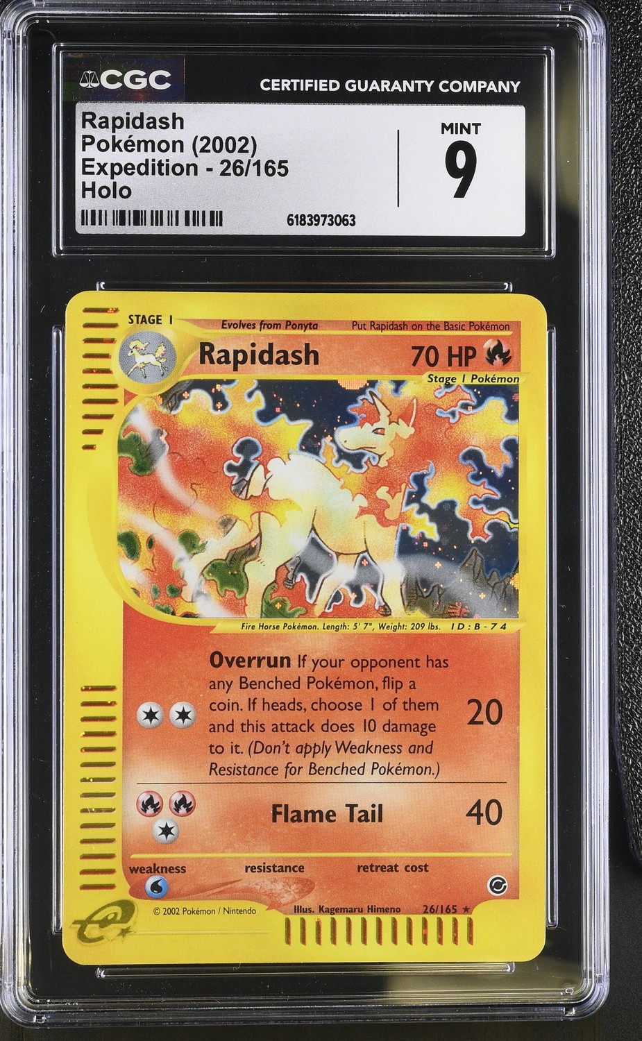 Rapidash