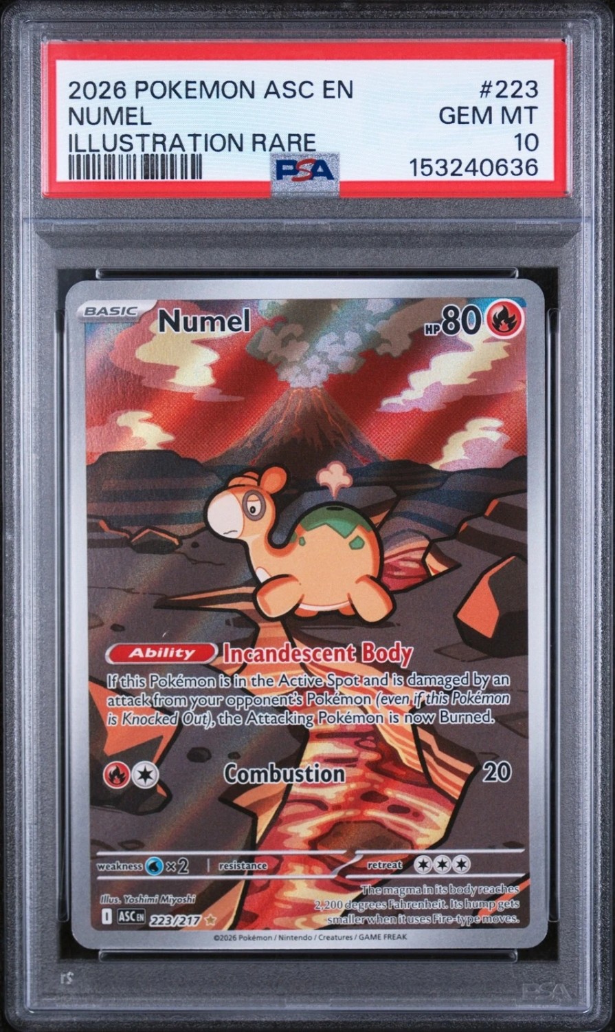 Numel