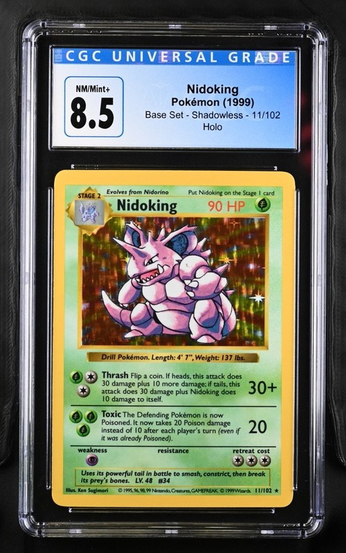 Nidoking