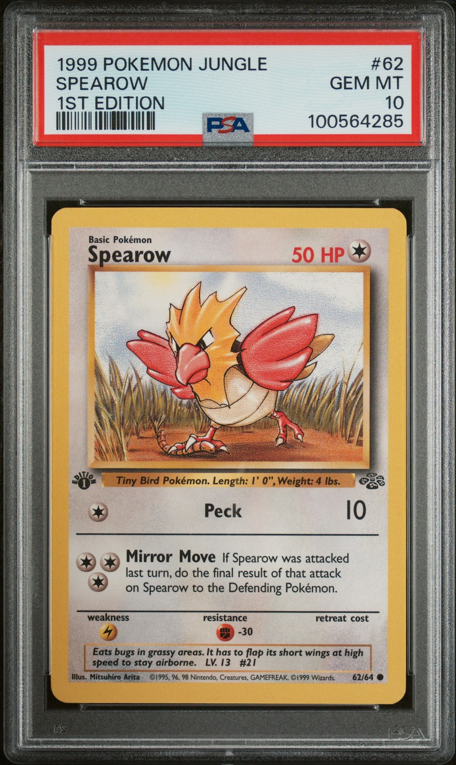 Spearow