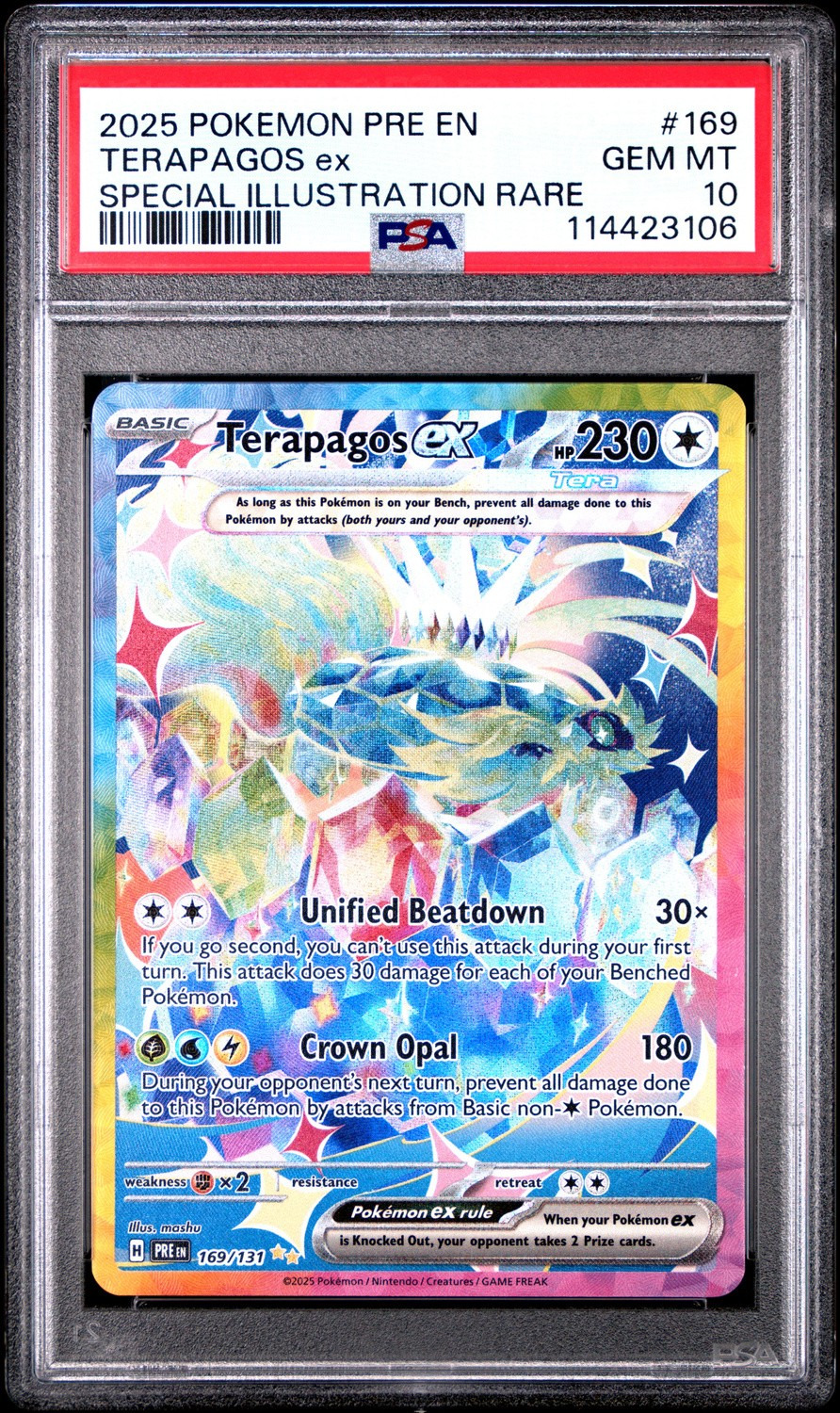 TERAPAGOS ex