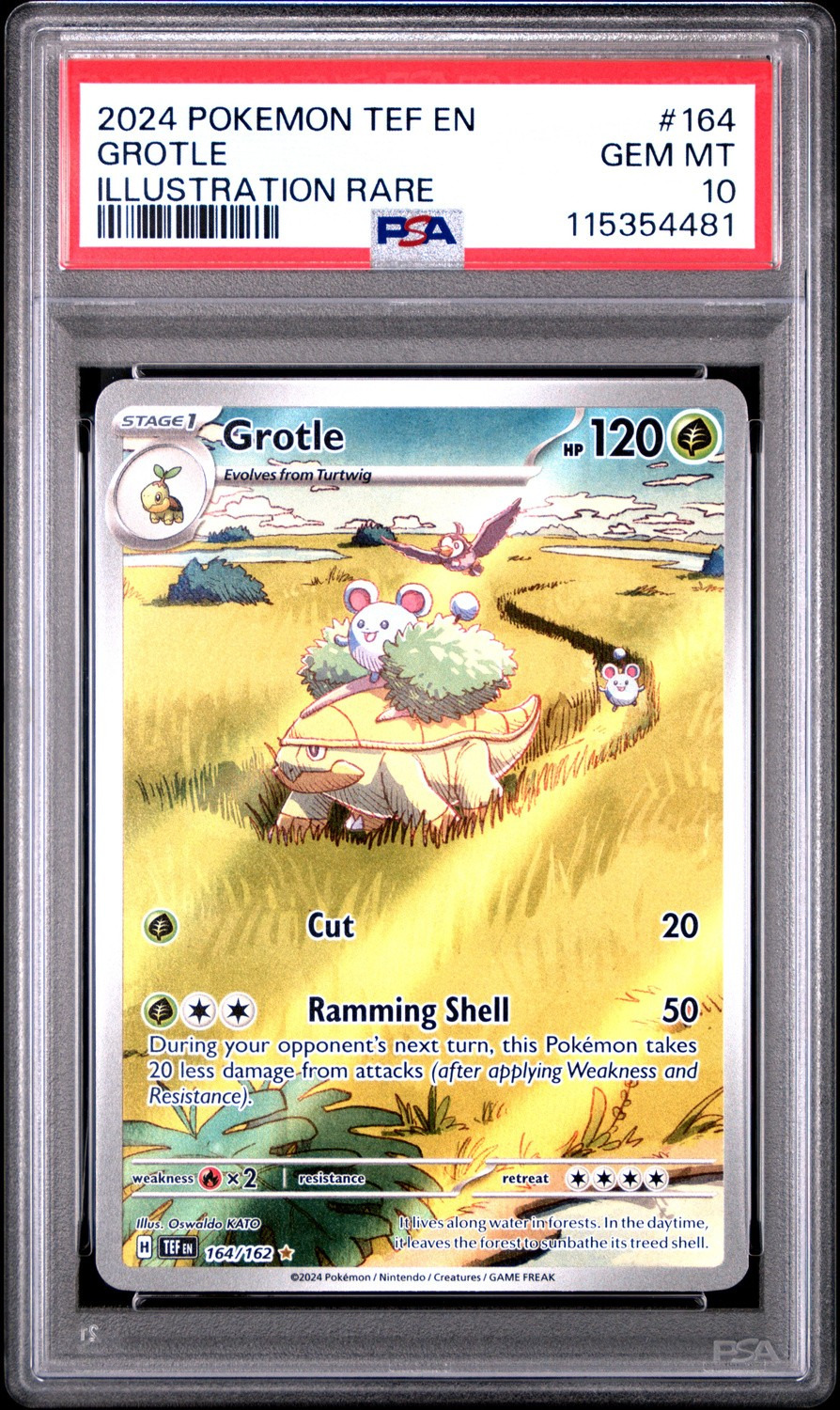 Grotle